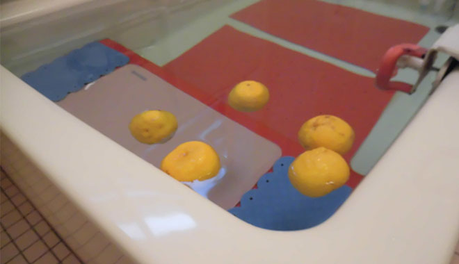 個別活動
